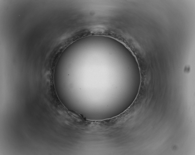 X0000102871445200808181455