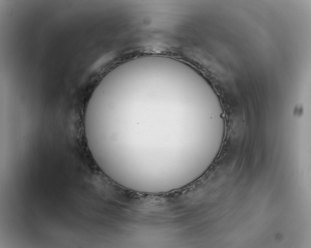 X0000102871446200808181455