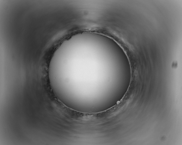 X0000102871447200808181455
