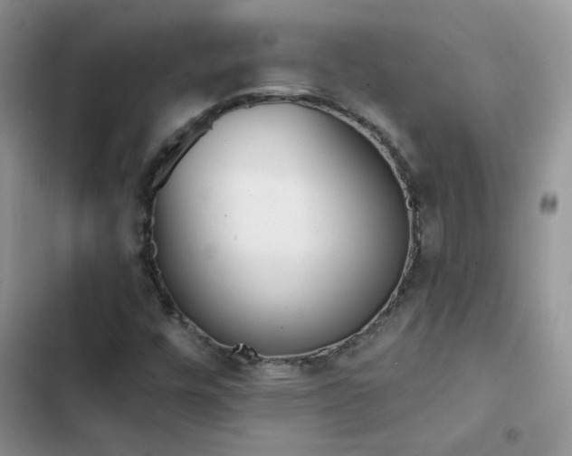 X0000102871448200808181454