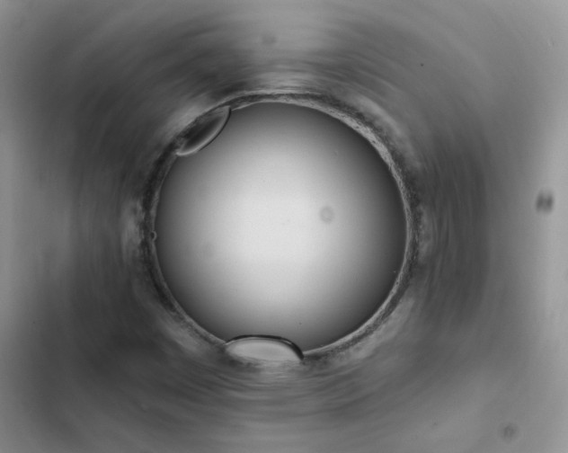 X0000102871449200808181454