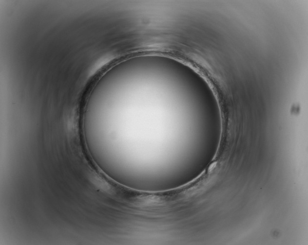 X0000102871450200808181454