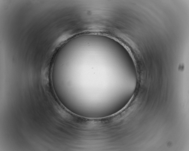 X0000102871451200808181454