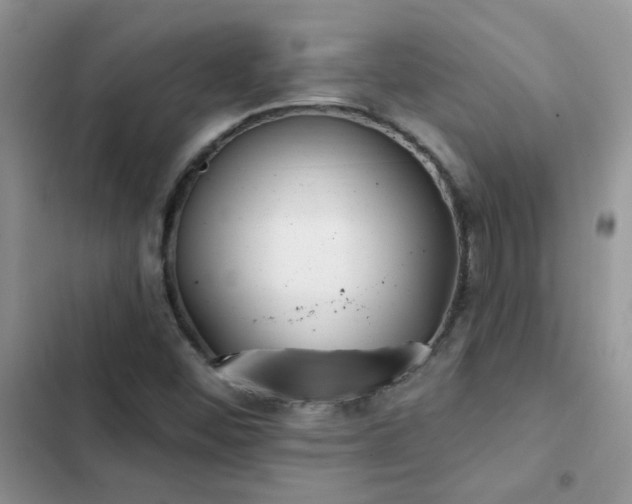 X0000102871452200808181454