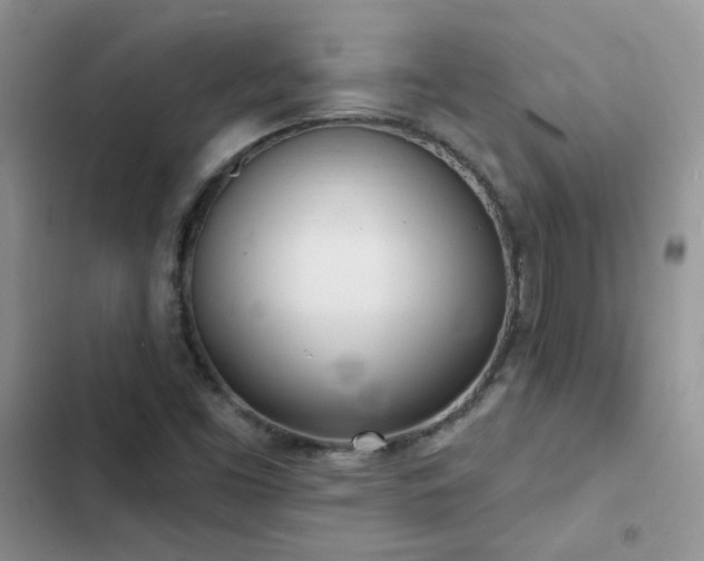 X0000102871453200808181454