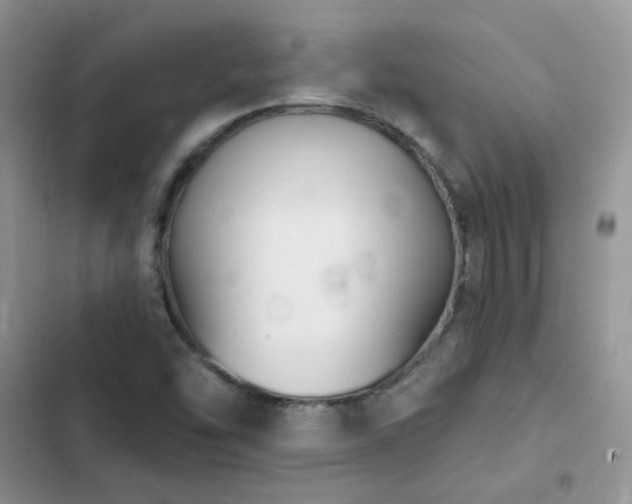 X0000102871454200808181454