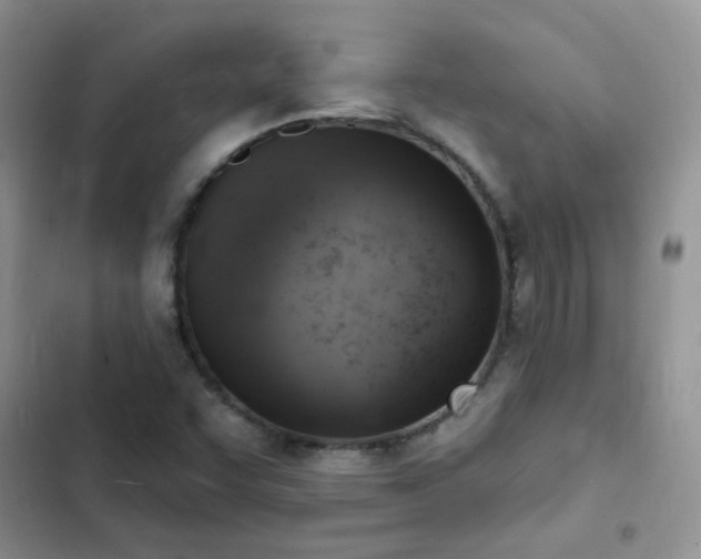 X0000102871455200808181454