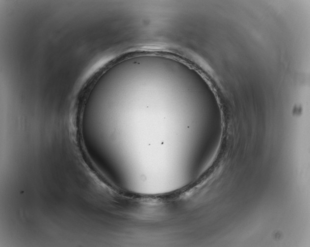 X0000102871456200808181454