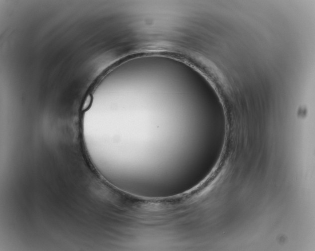 X0000102871457200808181454