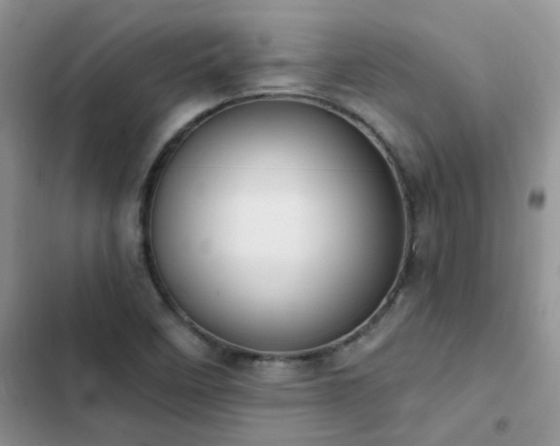 X0000102871458200808181454
