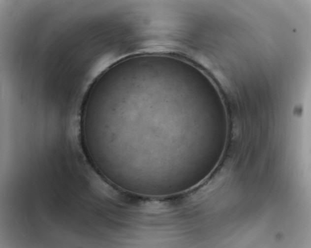 X0000102871459200808181454