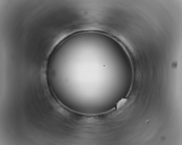 X0000102871460200808181454