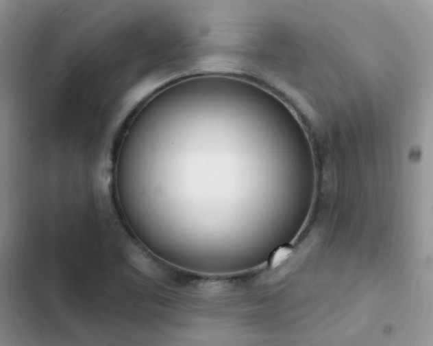 X0000102871461200808181454