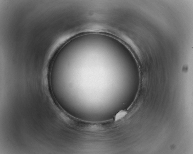 X0000102871464200808181454