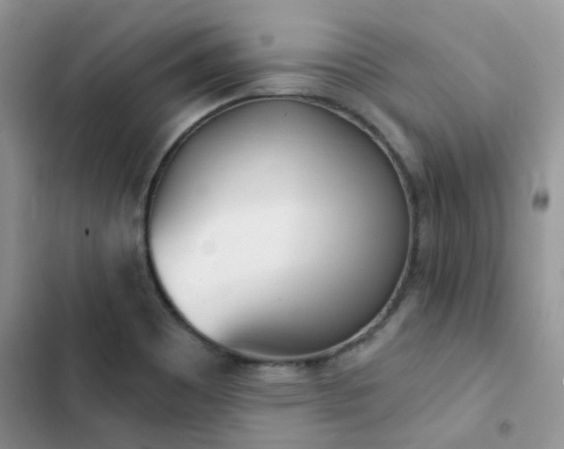 X0000102871465200808181454