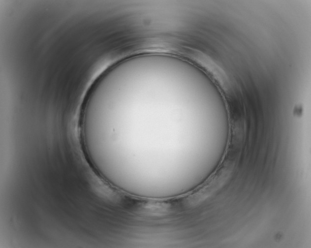 X0000102871466200808181454