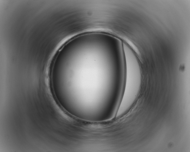 X0000102871468200808181454