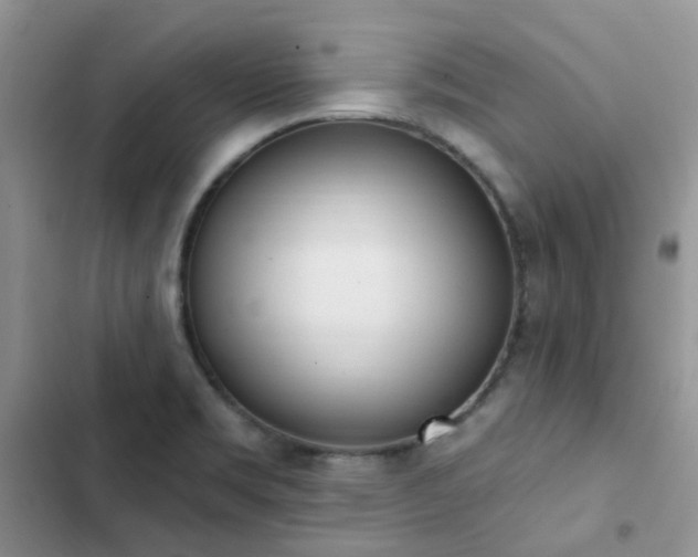 X0000102871469200808181454