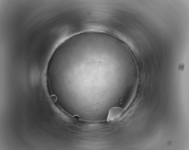 X0000102871471200808181454