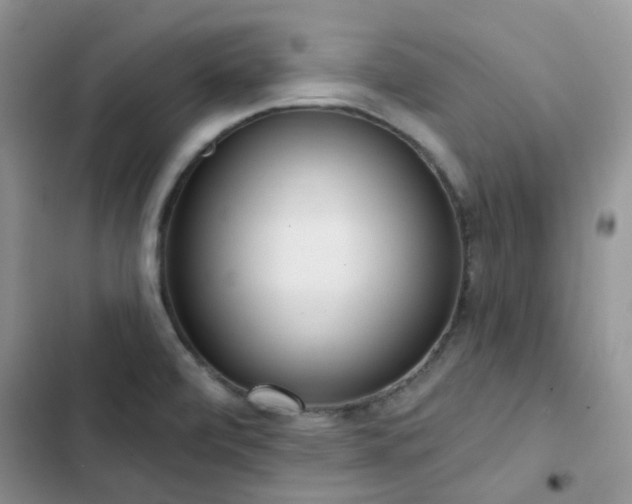 X0000102871472200808181454