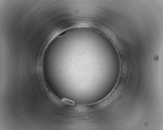 X0000102871473200808181454