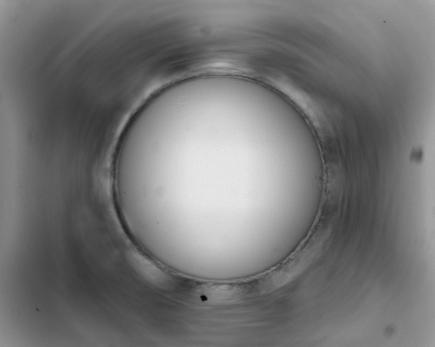 X0000102871474200808181454