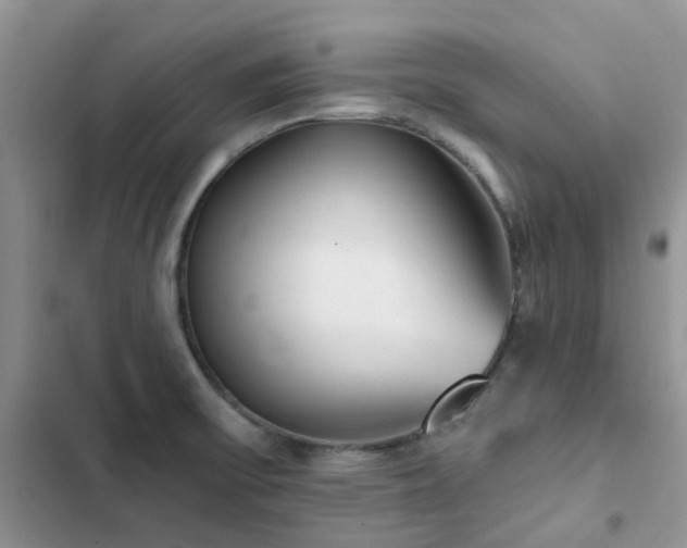 X0000102871475200808181454