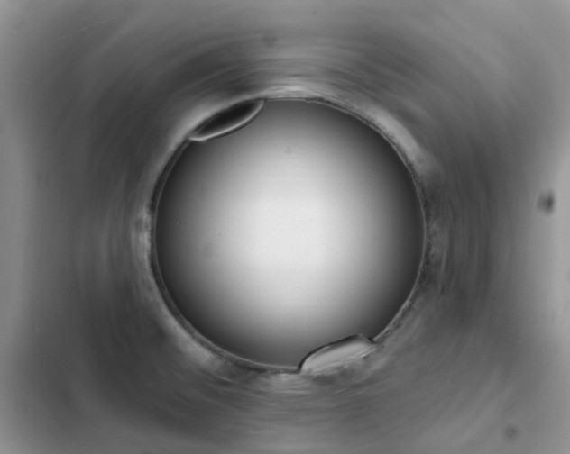 X0000102871476200808181454