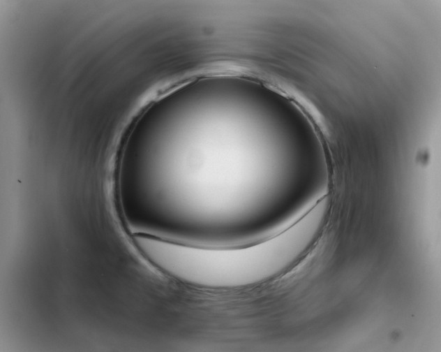 X0000102871477200808181454