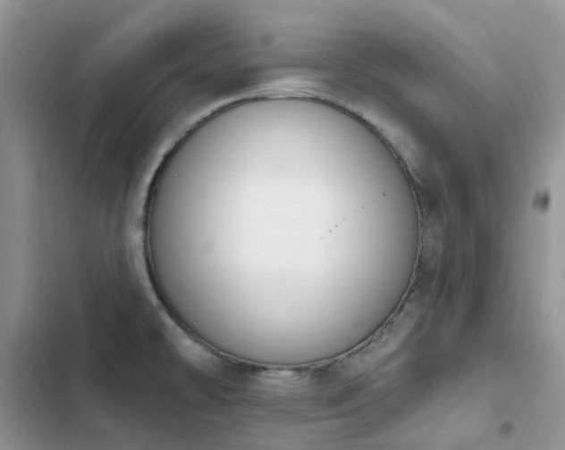 X0000102871478200808181454