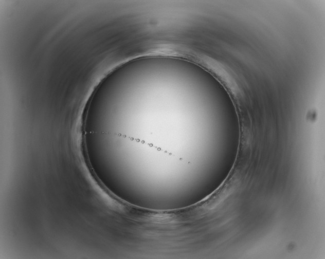 X0000102871479200808181454