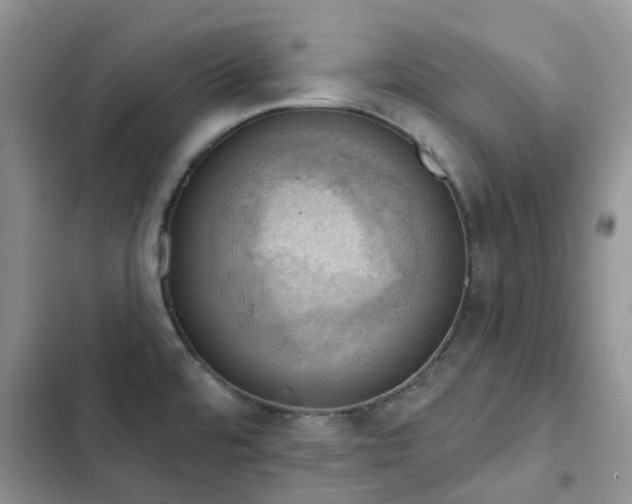 X0000102871480200808181454