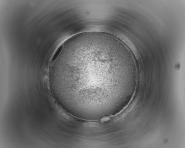 X0000102871481200808181454