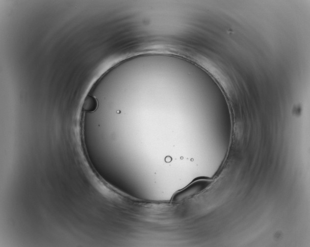 X0000102871482200808181454
