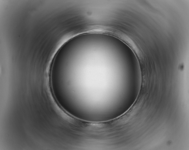 X0000102871483200808181454