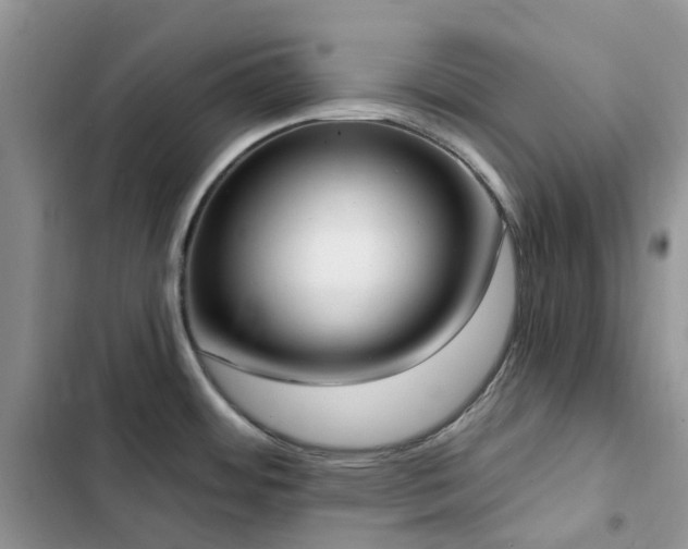 X0000102871484200808181454