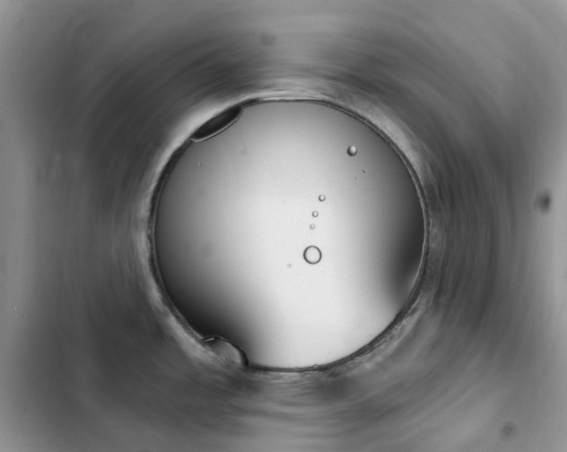 X0000102871485200808181454