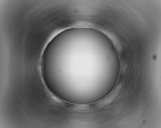 X0000102871486200808181454