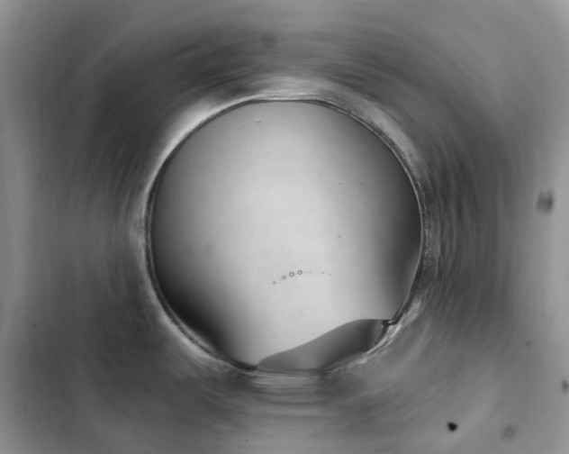 X0000102871487200808181454
