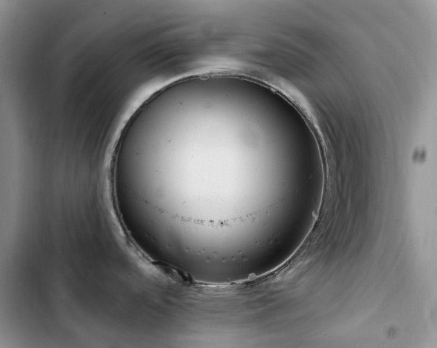 X0000102871488200808181454