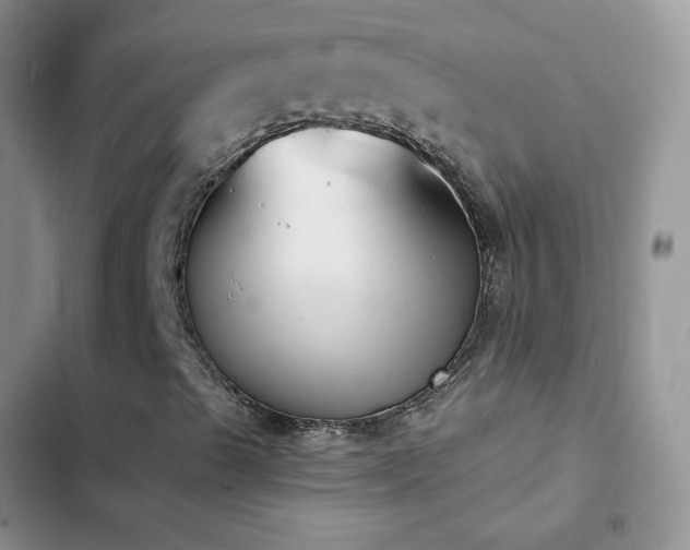 X0000102871489200808181453