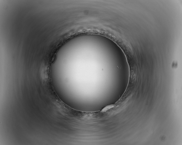 X0000102871490200808181453