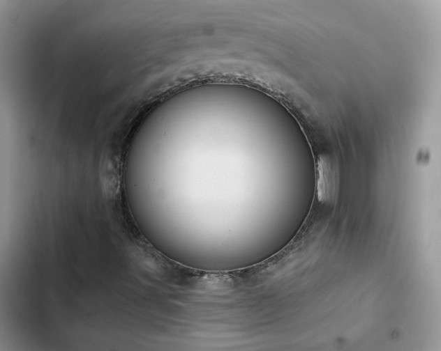 X0000102871491200808181453