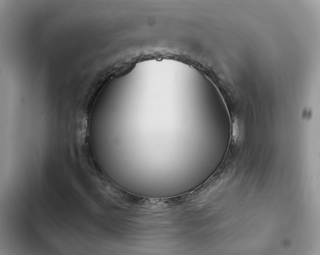 X0000102871492200808181453
