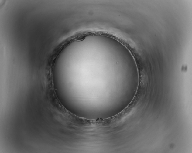 X0000102871494200808181453