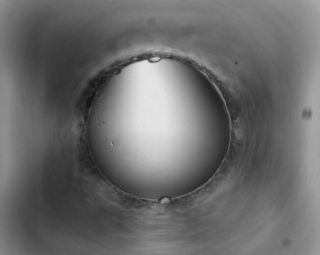 X0000102871495200808181453