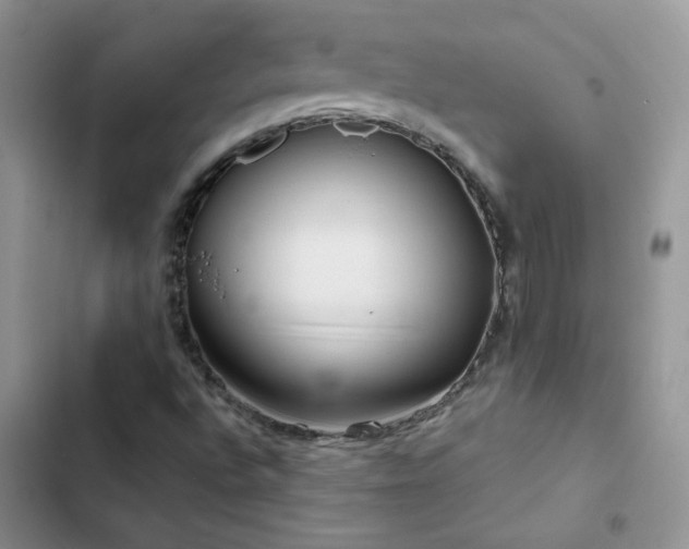 X0000102871496200808181453