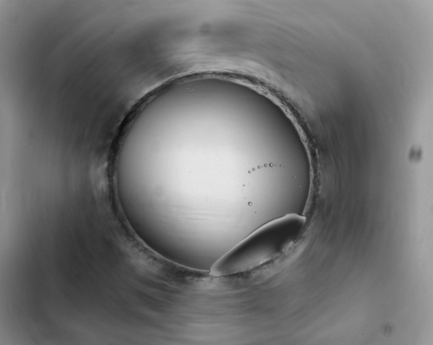 X0000102871497200808181453