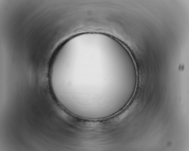 X0000102871498200808181453
