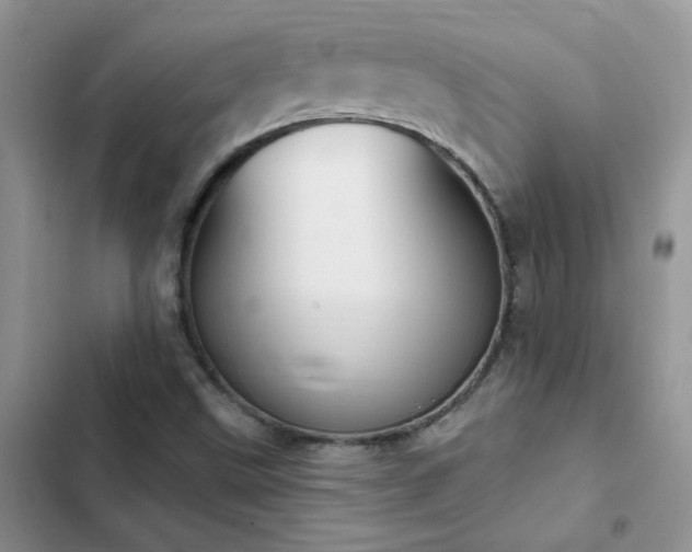 X0000102871499200808181453